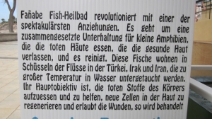 Fischheilbad - Da hat jemand falsch übersetzt.